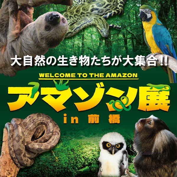 アマゾン展