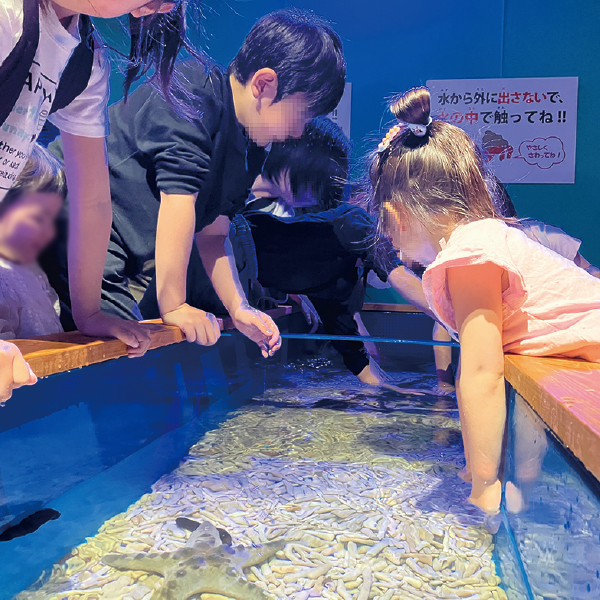 ふしぎな水族園